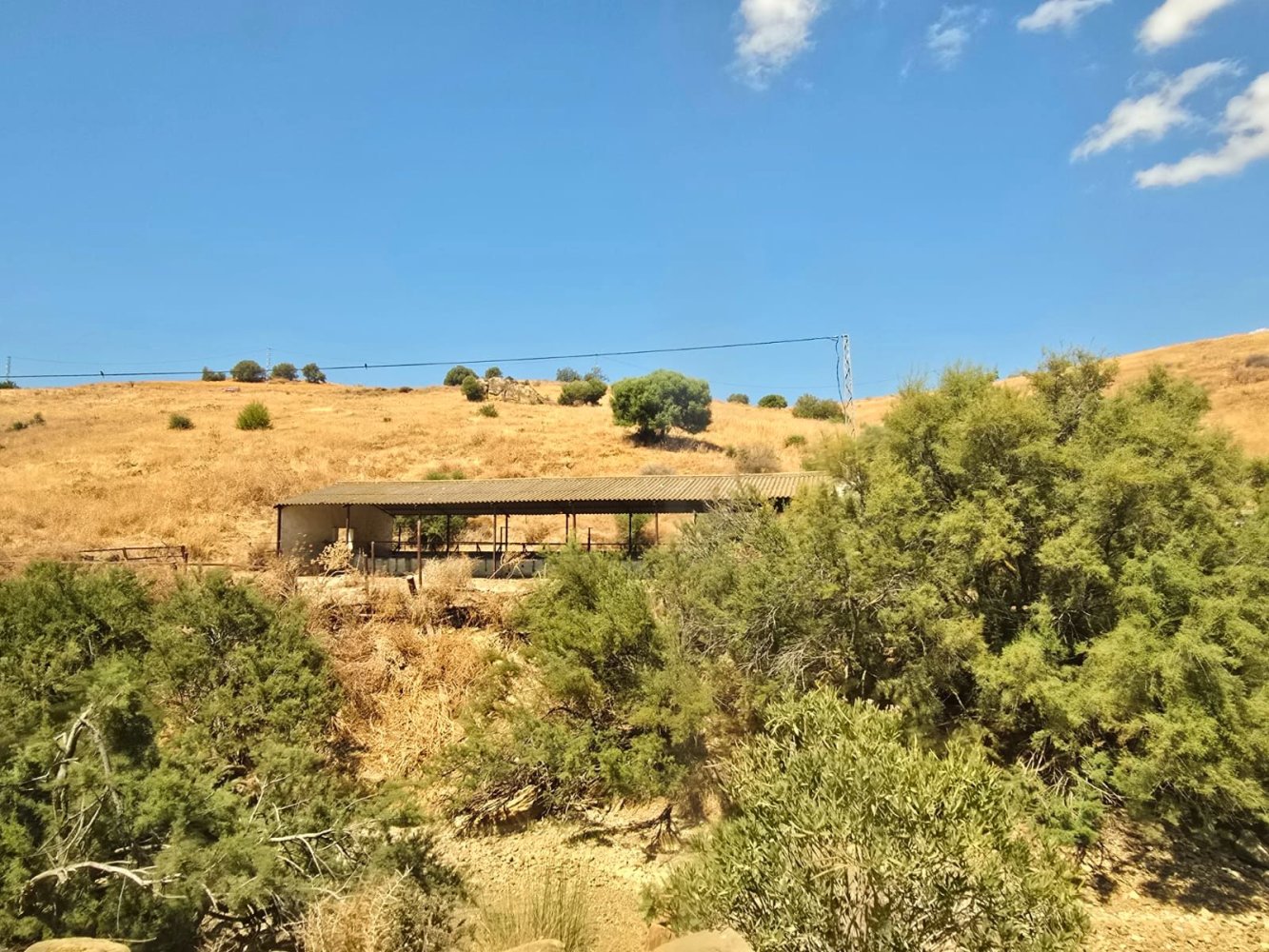 180000m² Land in Coin, Spain No. 190035