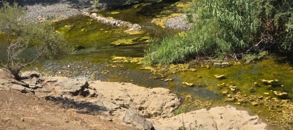 180000m² Land in Coin, Spain No. 190035 2