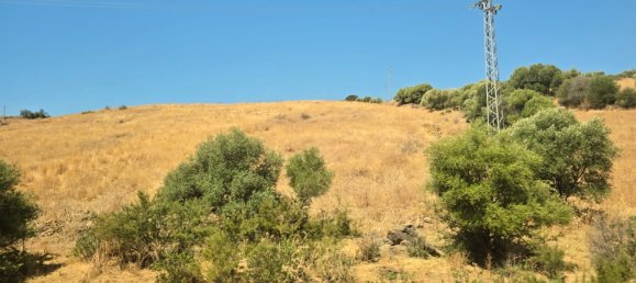 180000m² Land in Coin, Spain No. 190035 20