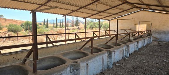 180000m² Land in Coin, Spain No. 190035 15