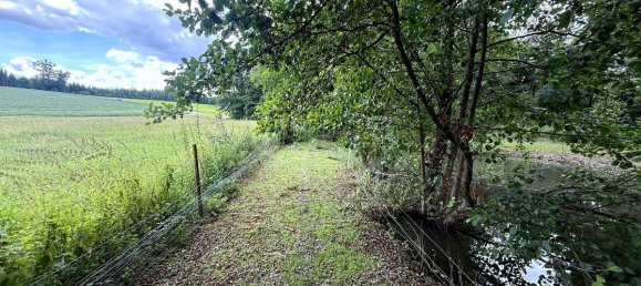 Terreno en Meggenhofen, Austria No. 208204 6