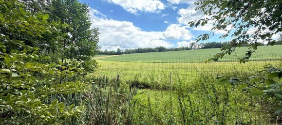 Terreno en Meggenhofen, Austria No. 208204 7