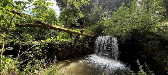 Terreno en Meggenhofen, Austria No. 208204 5