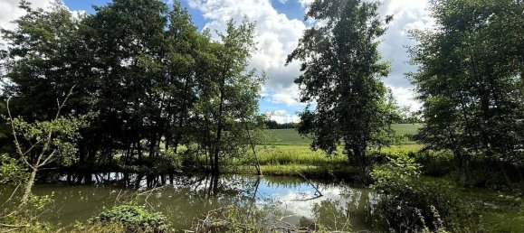 Terreno en Meggenhofen, Austria No. 208204 2