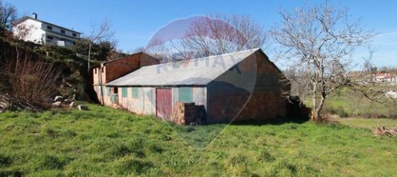 1050m² Land in Vouzela, Portugal No. 42503 3