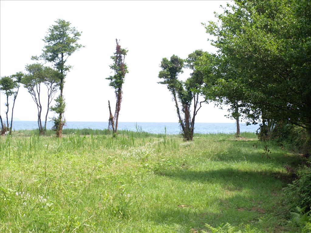 Hôtel à Chalkidiki, Greece 10045m² No. 5975