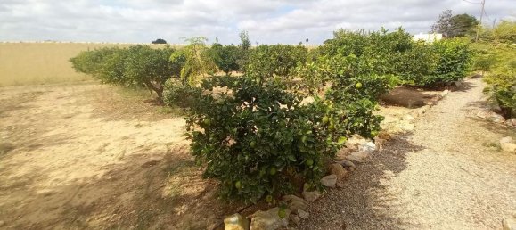 3 bedrooms House in San Javier, Spain No. 124943 33