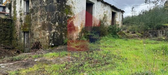 3 Schlafzimmer Haus in Sabariz, Portugal, Nr. 36815 23