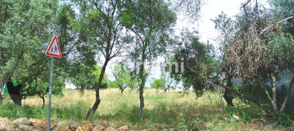 Terreno en Faro, Portugal 382 m² No. 51276 2