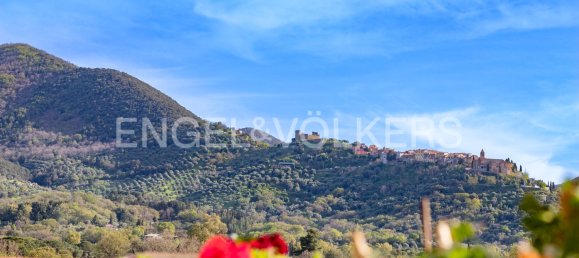 7 chambres Villa à Scarlino, Italy No. 129750 16