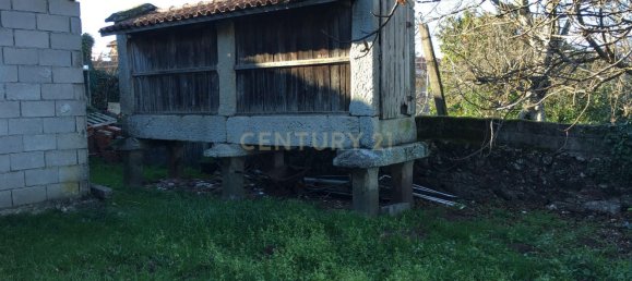 5 bedrooms House in Salamonde, Portugal No. 41520 4