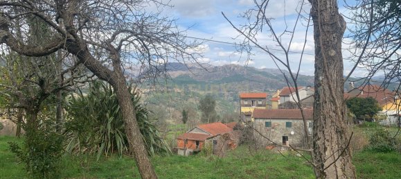 5 bedrooms House in Salamonde, Portugal No. 41520 44