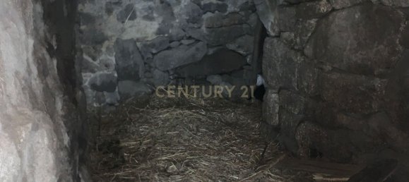 5 bedrooms House in Salamonde, Portugal No. 41520 28