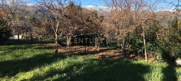 5 bedrooms House in Salamonde, Portugal No. 41520 10