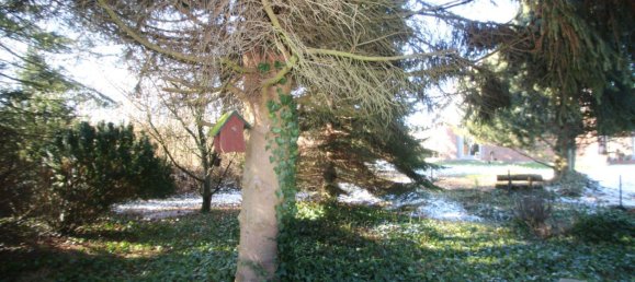 7-salle Maison à Ostholstein, Germany No. 41908 12