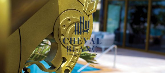 7 bedrooms Villa in The World Islands, UAE No. 6736 32