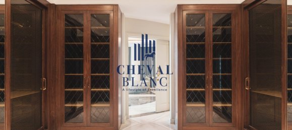 7 bedrooms Villa in The World Islands, UAE No. 6736 13