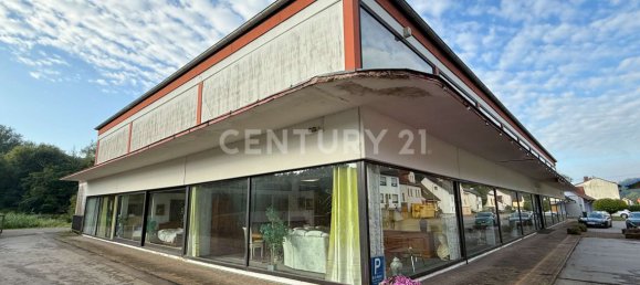 2430m² Commercial property in Merzig-Wadern, Germany No. 262851 4