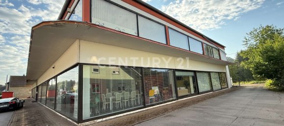 2430m² Commercial property in Merzig-Wadern, Germany No. 262851 3