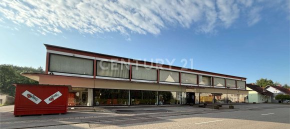 2430m² Commercial property in Merzig-Wadern, Germany No. 262851 2