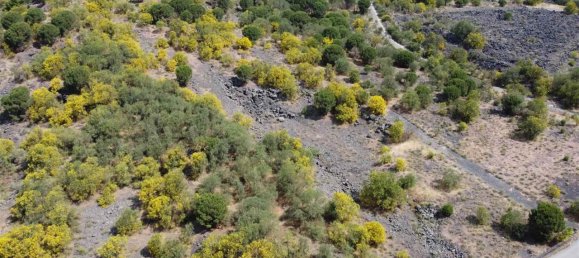 Terreno em Nicolosi, Italy 18900 m² N.º 111926 16