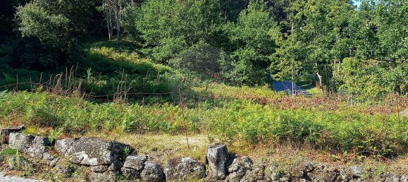 10200m² Land in Rossas, Portugal No. 36620 4