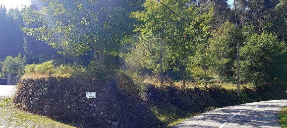 10200m² Land in Rossas, Portugal No. 36620 3