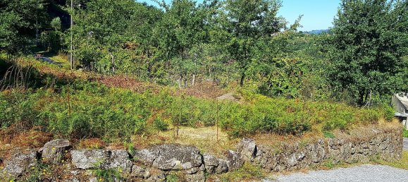 10200m² Land in Rossas, Portugal No. 36620 5