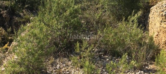 Terrain à Cubelles, Spain 1004m² No. 74802 19