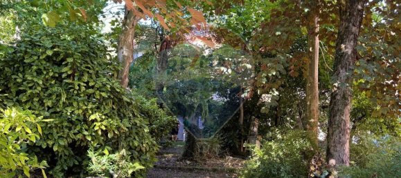 11 bedrooms Villa in Savignone, Italy No. 270486 13