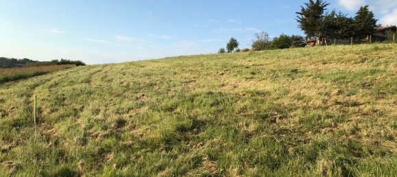 Terreno en Occitanie, France No. 351514 4