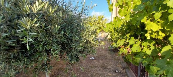 4 rooms Apartment in Belvedere Marittimo, Italy No. 268955 28