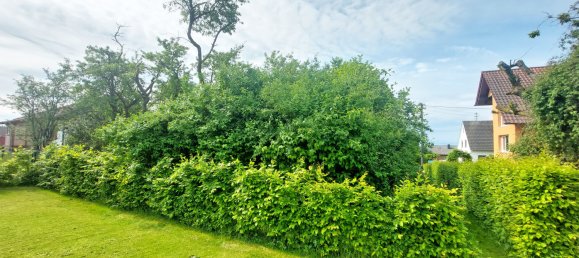 753m² Land in Rhein-Sieg, Germany No. 163028 5