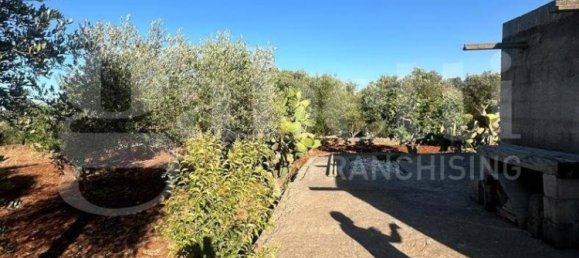 Terreno en Ostuni, Italy 2000 m² No. 343603 6