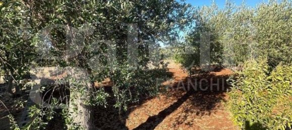 Terreno en Ostuni, Italy 2000 m² No. 343603 7