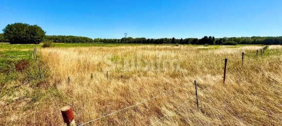4 Schlafzimmer Haus in Viviers, France, Nr. 302330 3