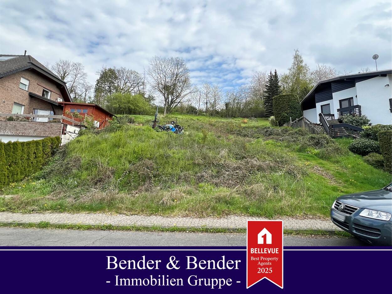 Terrain à Ahrweiler, Germany No. 134543