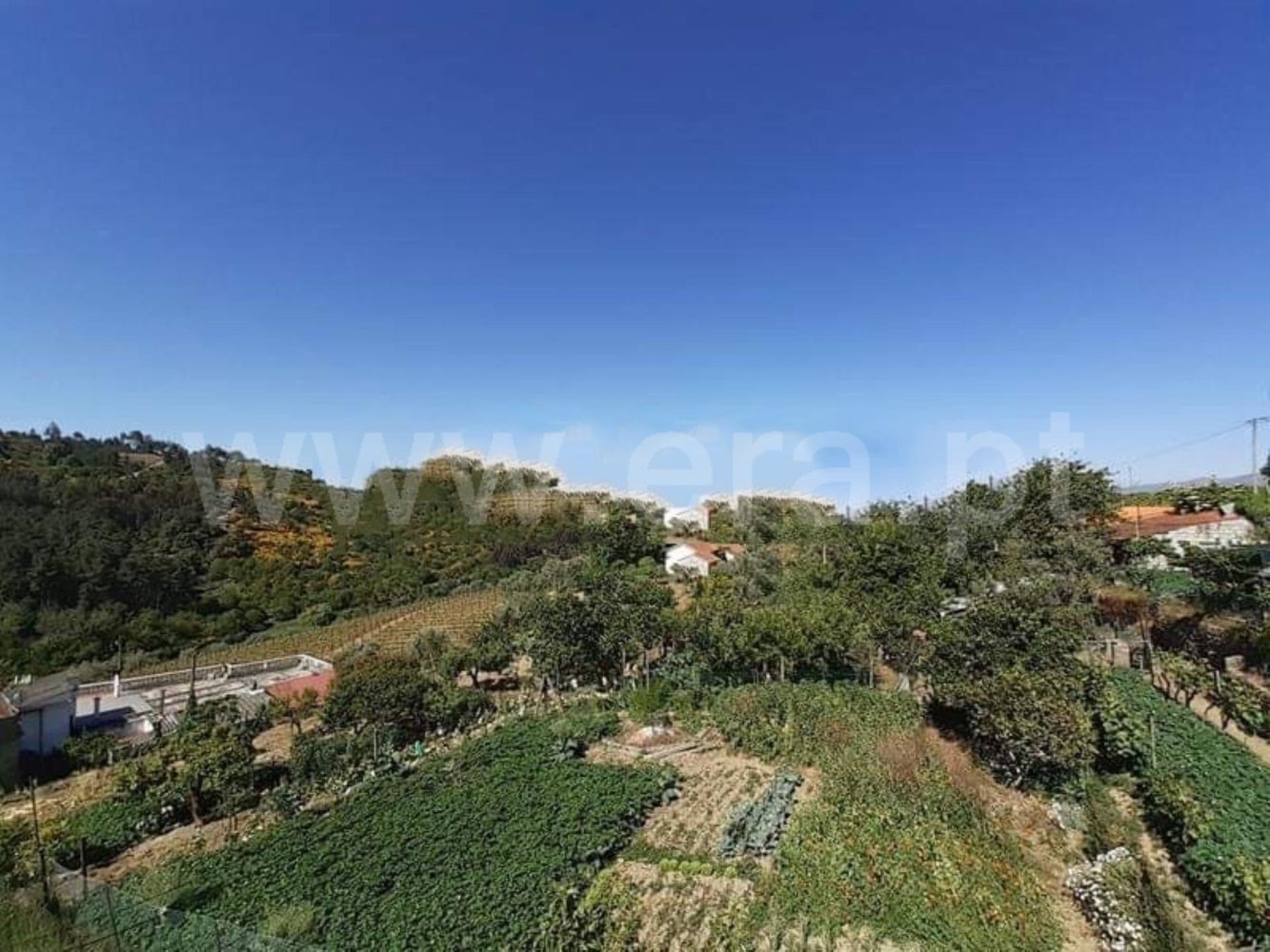 3 bedrooms House in Vila Real, Portugal No. 169731