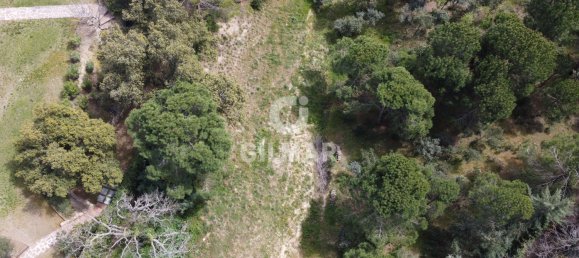 Terreno em San Sebastian de los Reyes, Spain 3424 m² N.º 84457 2