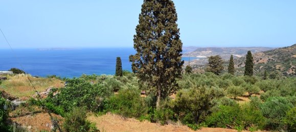 2700m² Hotel in Sitia, Greece No. 5730 2