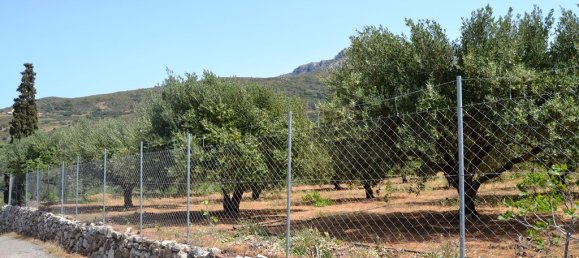 2700m² hôtel à vendre à Sitia, Siteia, Lasithi, Crete, Greece № 5730 4