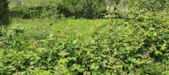 Terrain à Palombara Sabina, Italy 7000m² No. 67245 9