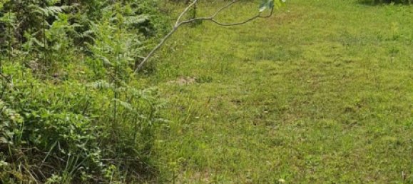 Terrain à Palombara Sabina, Italy 7000m² No. 67245 14