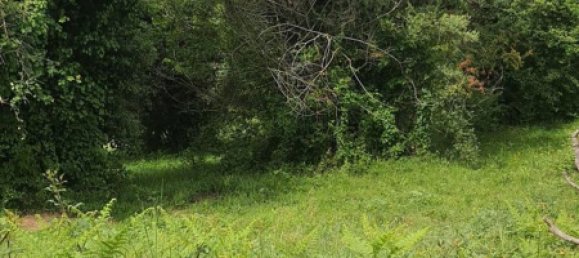 Terrain à Palombara Sabina, Italy 7000m² No. 67245 7