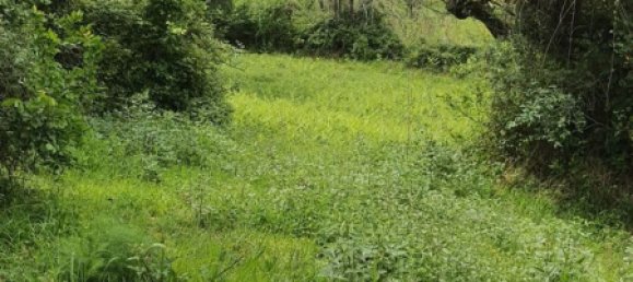 Terrain à Palombara Sabina, Italy 7000m² No. 67245 2