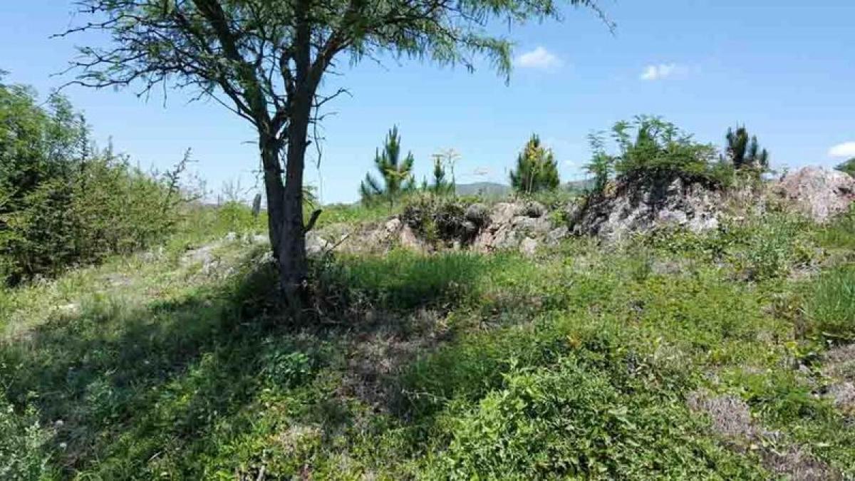 Земельный участок в Кордоба, Аргентина № 44321