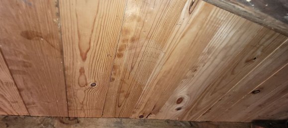 2 bedrooms House in Fornos de Algodres, Portugal No. 166870 6