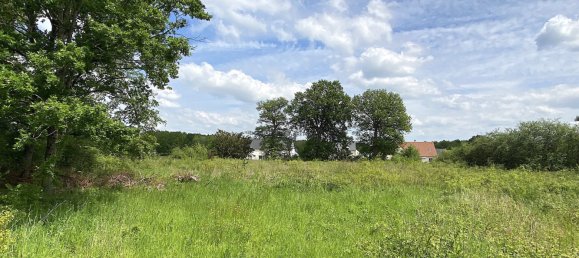 Land in Vitry-aux-Loges, France No. 73817 3