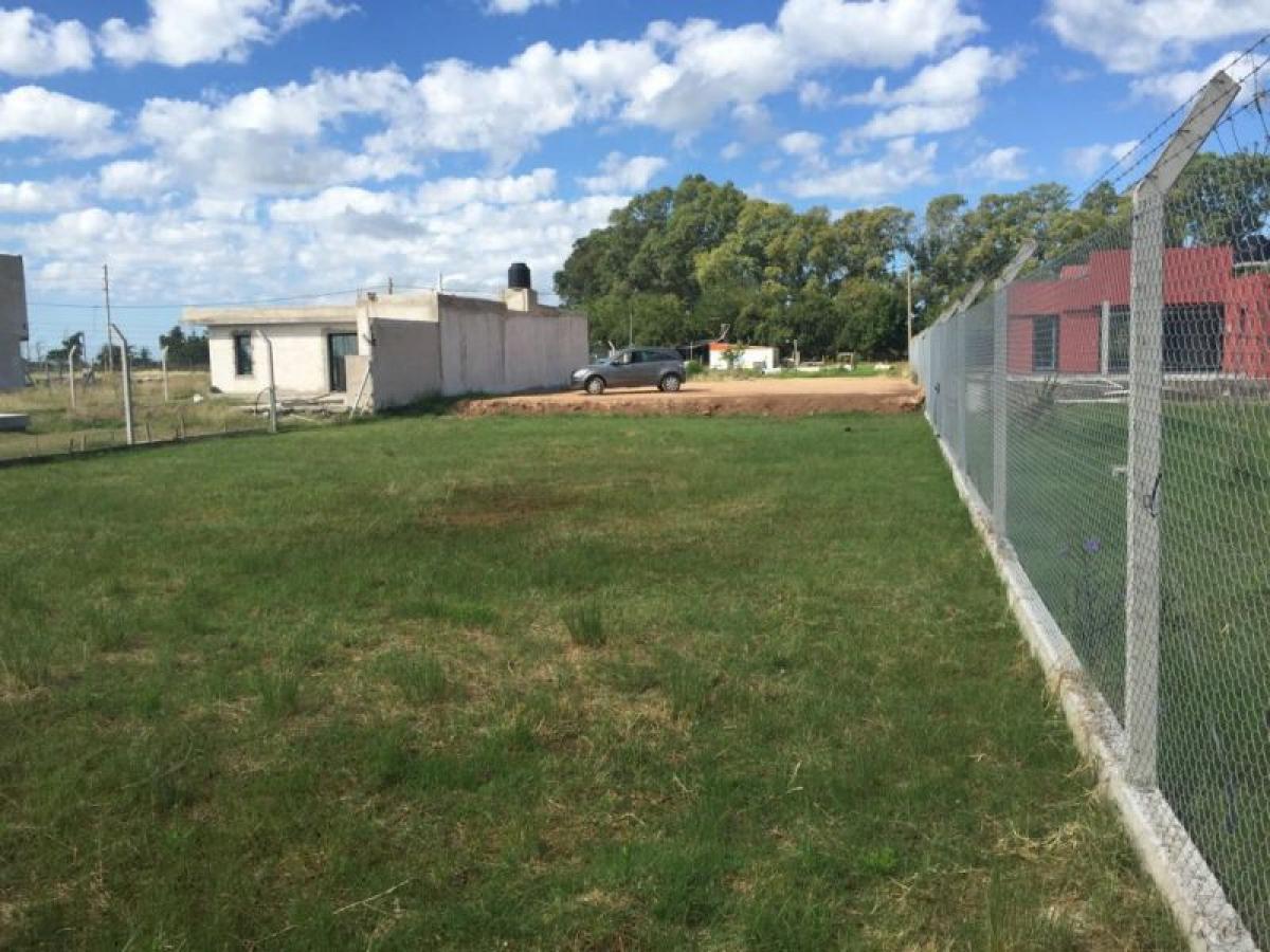  قطعة أرض في Campo Creado, Argentina رقم 40634