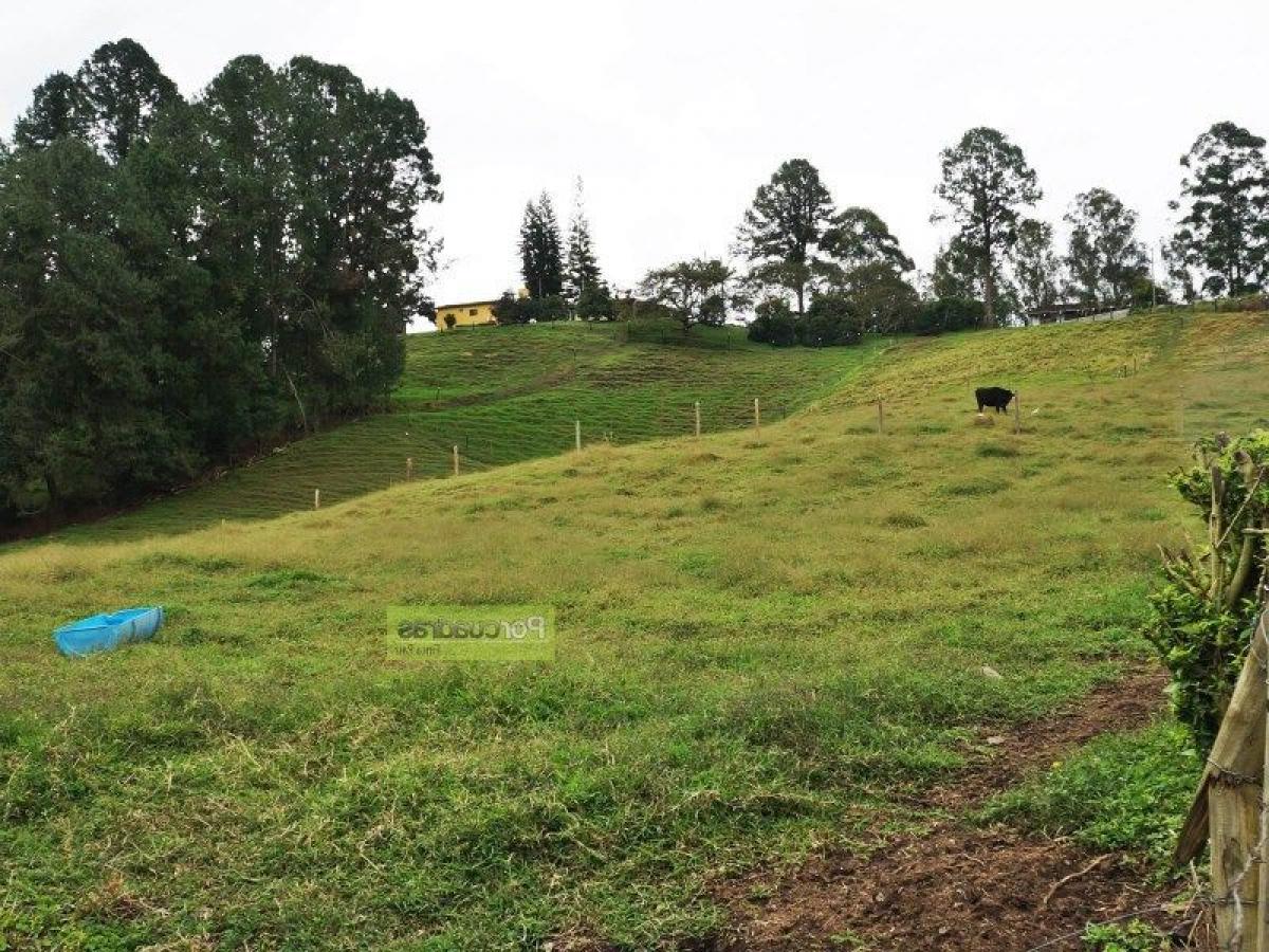 Terrain à Antioquia, Colombia No. 94
